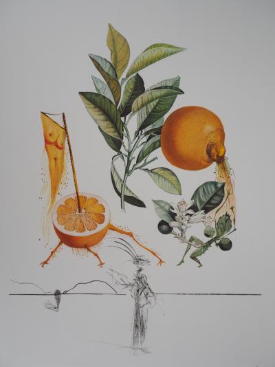 Salvador Dali : Flordali, Le Pamplemousse Erotique - Gravure originale signée 2