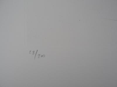 Salvador Dali : Flordali, Le Pamplemousse Erotique - Gravure originale signée 2