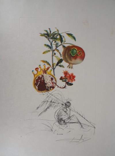Salvador Dali : Flordali, Grenade et Ange - Gravure originale signée 2