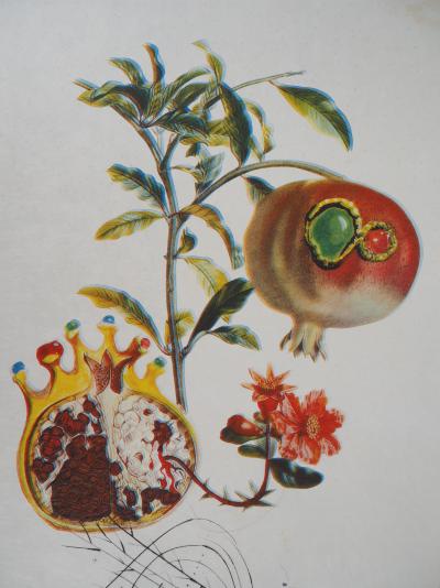 Salvador Dali : Flordali, Grenade et Ange - Gravure originale signée 2