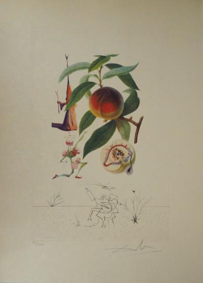Salvador Dali : Flordali, Pécher Pénitent - Gravure originale signée 2