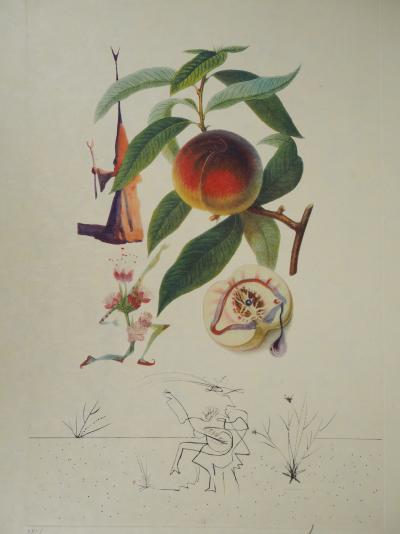Salvador Dali : Flordali, Pécher Pénitent - Gravure originale signée 2