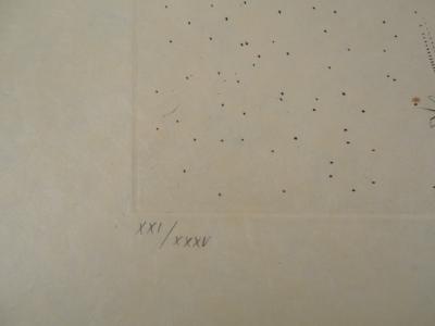 Salvador Dali : Flordali, Pécher Pénitent - Gravure originale signée 2