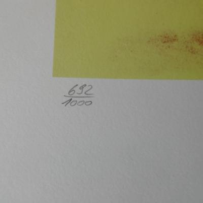 Andy WARHOL (d’après) - MERCEDES W 125 F1 - Lithographie signée dans la planche 2