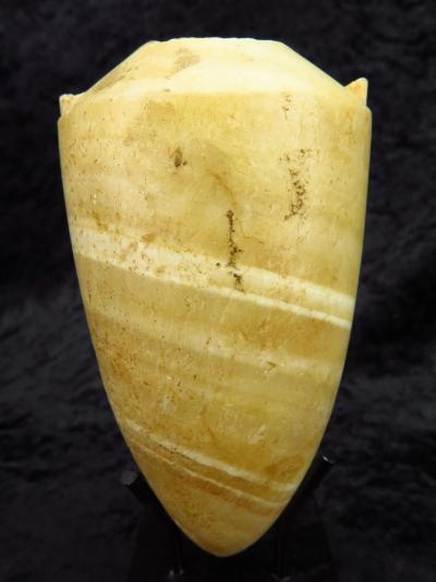 Égypte Antique - Amphoriskos en albâtre 2