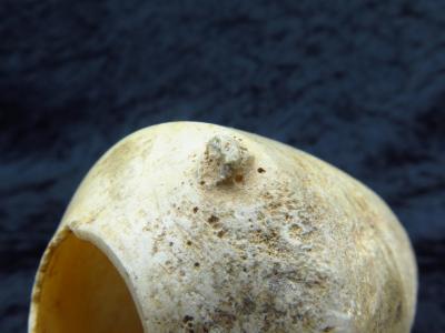 Égypte Antique - Amphoriskos en albâtre 2