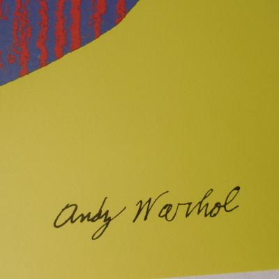 Andy WARHOL (d’après) - Us Dollar Jaune - Lithographie 2