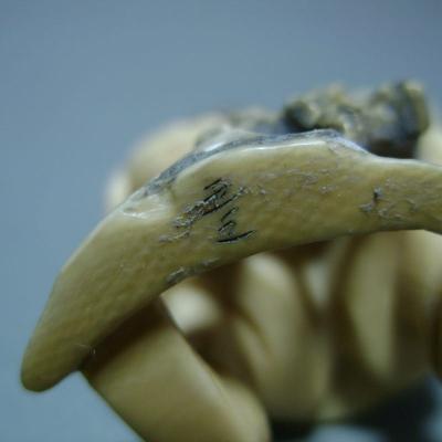 Japon - Netsuke en ivoire 2
