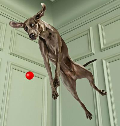 Mr Strange - Charly Jump, 2019 - Sérigraphie signée au crayon 2