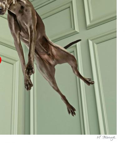 Mr Strange - Charly Jump, 2019 - Sérigraphie signée au crayon 2