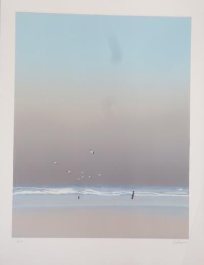 Pierre DOUTRELEAU - Les mouettes, 1995 - Lithographie 2