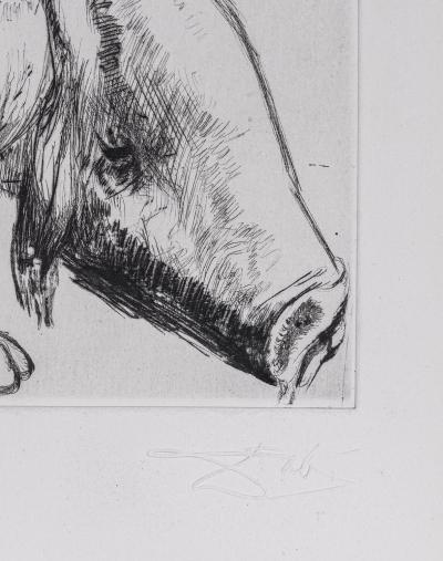 Salvador DALI - Femme Au Cochon - Faust, 1969 - Original Etching 2