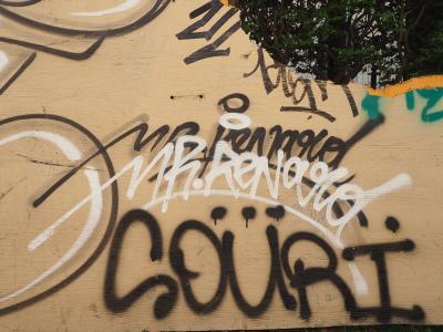 MR RENARD - Visage 