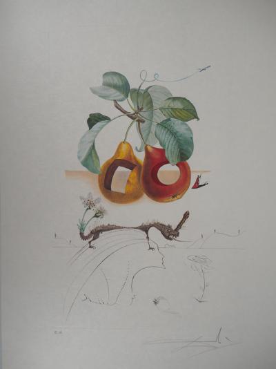 Salvador DALI - Flordali, Fruits troués et rhinocéros - Gravure originale signée 2