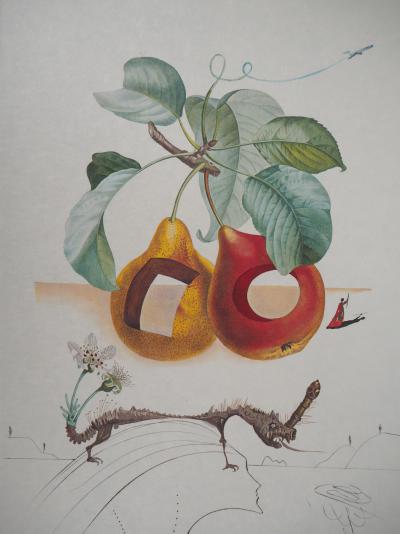 Salvador DALI - Flordali, Fruits troués et rhinocéros - Gravure originale signée 2