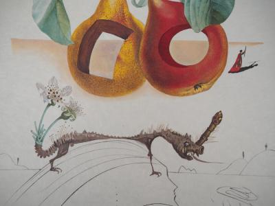 Salvador DALI - Flordali, Fruits troués et rhinocéros - Gravure originale signée 2