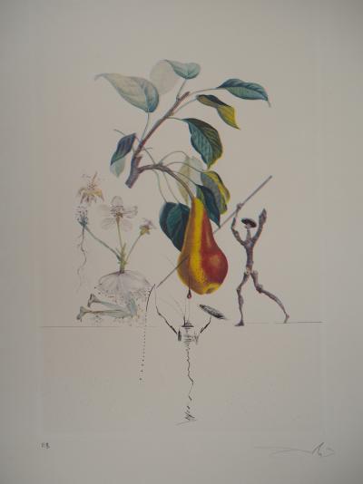 Salvador DALI - Flordali, Poire Don Quichotte - Gravure originale signée 2