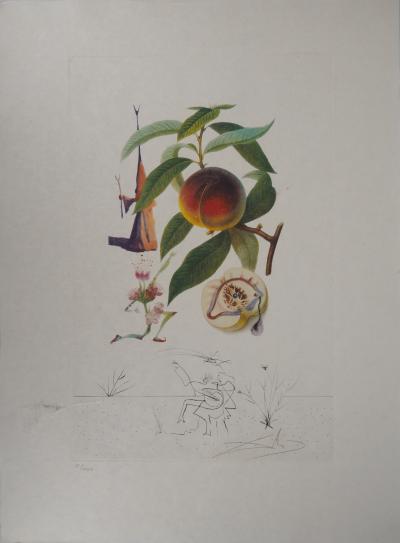 Salvador DALI - Flordali, Pécher Pénitent - Gravure originale signée 2
