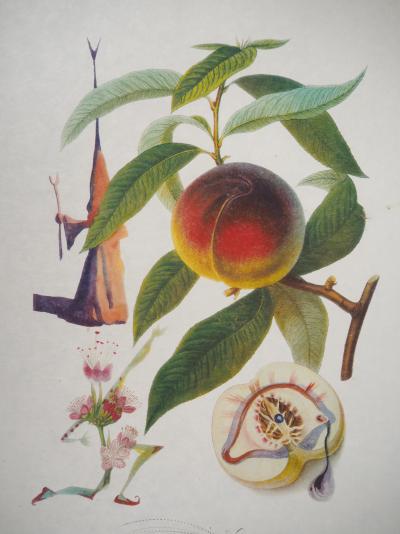 Salvador DALI - Flordali, Pécher Pénitent - Gravure originale signée 2