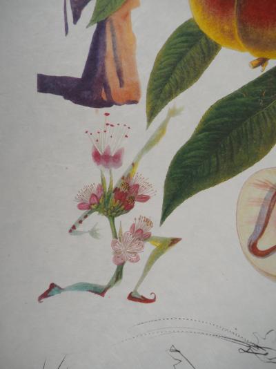 Salvador DALI - Flordali, Pécher Pénitent - Gravure originale signée 2