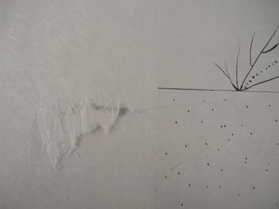 Salvador DALI - Flordali, Pécher Pénitent - Gravure originale signée 2