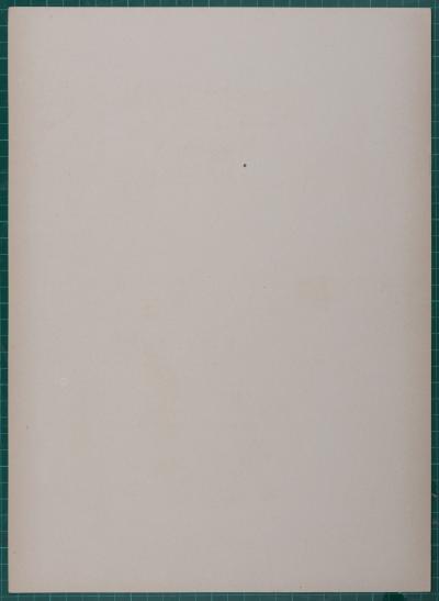 Adolfo DE CAROLIS - Figli di Iorio, 1914 - Affiche lithographique originale 2