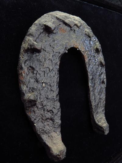 Ancient Roman iron Horse shoe 2