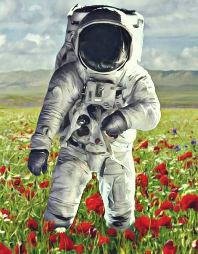 Mr Strange - Champs de fleurs sur la planète terre, 2019 - Sérigraphie signée au crayon 2