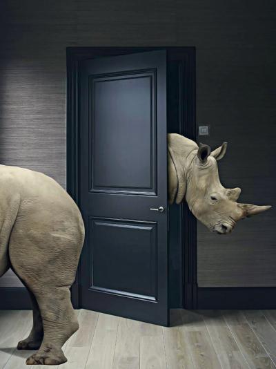 Mr Strange - Les rhinoceros, 2019 - Sérigraphie signée au crayon 2