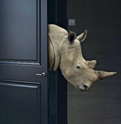 Mr Strange - Les rhinoceros, 2019 - Sérigraphie signée au crayon 2