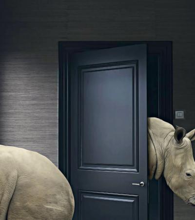 Mr Strange - Les rhinoceros, 2019 - Sérigraphie signée au crayon 2