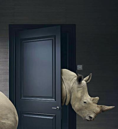 Mr Strange - Les rhinoceros, 2019 - Sérigraphie signée au crayon 2