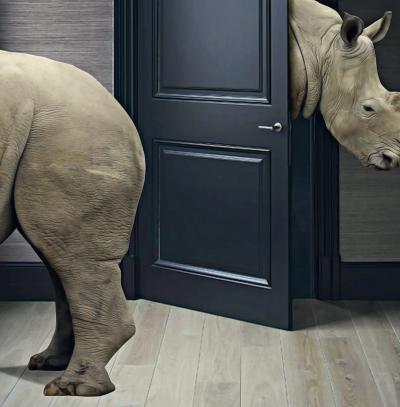 Mr Strange - Les rhinoceros, 2019 - Sérigraphie signée au crayon 2