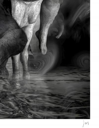 Lionel MORATEUR - Caprices Miren que grabes, 2019 - Sérigraphie signée et numérotée 2