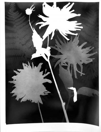 Man Ray (d’après)  - Sans titre - Photographie 2