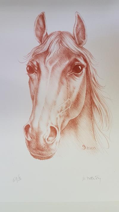 Marc DAUTRY - Portrait du cheval de course - Lithographie signée et numérotée 2