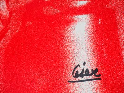 CESAR - Plis Plastiques - Lithographie originale signée au feutre 2