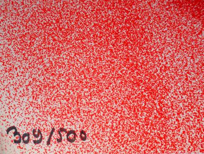 CESAR - Plis Plastiques - Lithographie originale signée au feutre 2