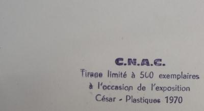 CESAR - Plis Plastiques - Lithographie originale signée au feutre 2