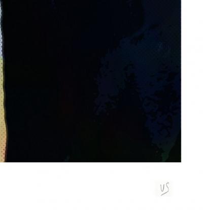Vincent SABATIER - James B, 2019 - Sérigraphie signée au crayon 2