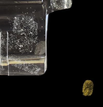 Vincent SABATIER - Chanel V, 2019 - Sérigraphie signée au crayon 2