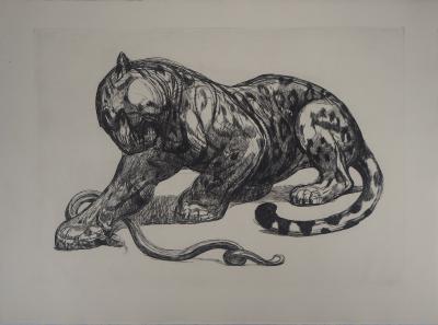 Paul JOUVE : Jaguar et serpent, c. 1926 - Gravure originale 2