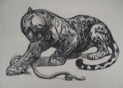 Paul JOUVE : Jaguar et serpent, c. 1926 - Gravure originale 2