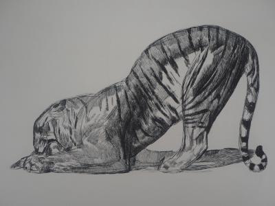 Paul JOUVE : Tigre sur sa proie, c. 1931 - Gravure originale 2