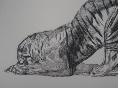 Paul JOUVE : Tigre sur sa proie, c. 1931 - Gravure originale 2