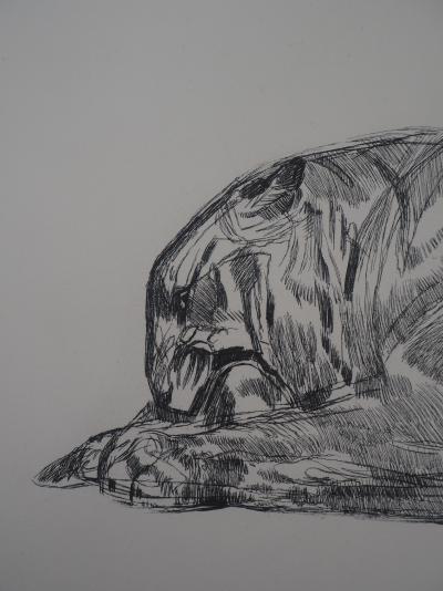 Paul JOUVE : Tigre sur sa proie, c. 1931 - Gravure originale 2