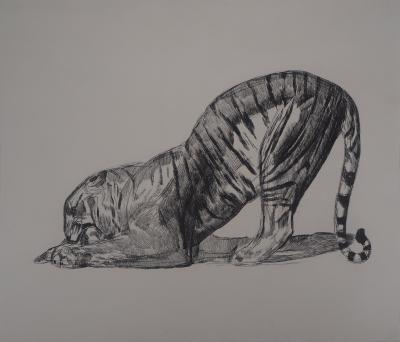 Paul JOUVE - Tigre sur sa proie, c. 1931 - Gravure originale 2