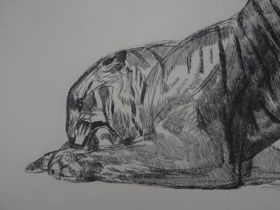 Paul JOUVE - Tigre sur sa proie, c. 1931 - Gravure originale 2