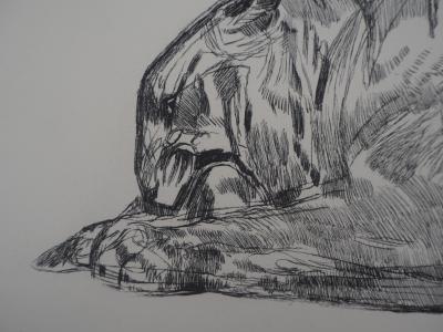 Paul JOUVE - Tigre sur sa proie, c. 1931 - Gravure originale 2