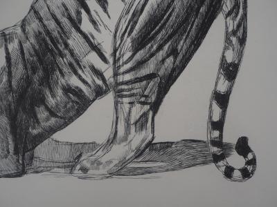 Paul JOUVE - Tigre sur sa proie, c. 1931 - Gravure originale 2